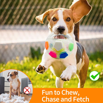 Football Tennis Dog Toy